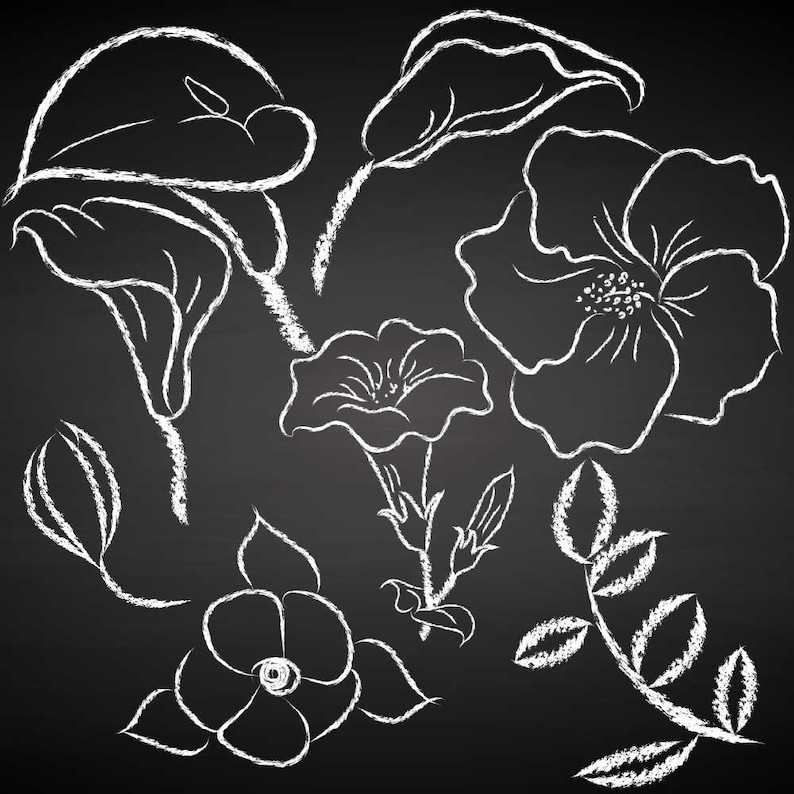 Chalk effect floral clipart set flowers drawn with chalk clip | Etsy
