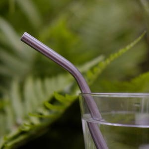 New Zealand Made Stainless Steel Reusable straws 2pk image 4