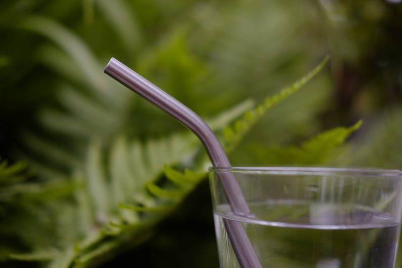 New Zealand Made Stainless Steel Reusable straws 2pk image 4