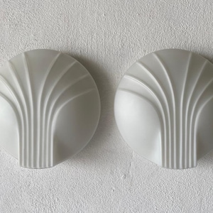 Very Rare Shell Design Opal Glass Pair of Sconces by Hillebrand, 1960s, Germany