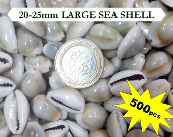 500pcs Cowrie beads Sea Shell beads, Cowrie Large 20-25mm, cowrie bead Cauri Cowry shell SeaShell Beads Sea Shell Craft Sea Shell Necklace