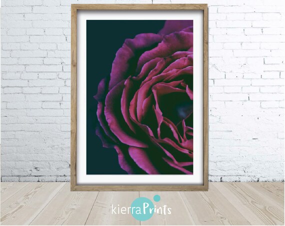 Magenta Rose Bloom Rose Print Boho Floral Wall Art Digital | Etsy