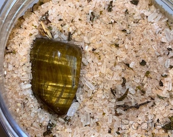 Tiger’s Eye Crystal Bath Salt – Ginger Ginseng Aromatherapy Ritual Soak for Strength and Energy