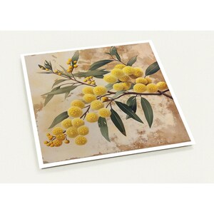 Cartões de flores de acácia australiana, saudação de design australiano, ecológico para qualquer ocasião, cartões de agradecimento, aniversário, simpatia, notas