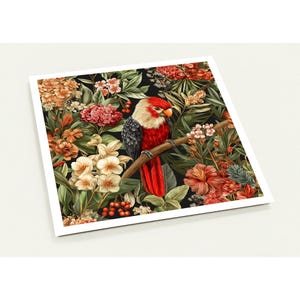 Australiana Cards Pack of 10,  Luxury Eco-Friendly blank Cards, Birthday Greeting, Thank You Notes, Sympathy, Missing You, For Her