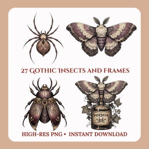 Pacchetto di clipart entomologiche gotiche, falene, farfalle, coleotteri, ragni PNG, cornici vittoriane per insetti, stile botanico dark academia (download digitale)