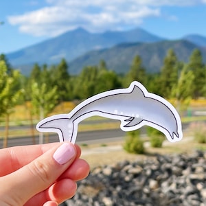 Dolphin Sticker - Cute Water Resistant Decal - Aesthetic Sticker for Laptops, Hydroflasks, and Cars