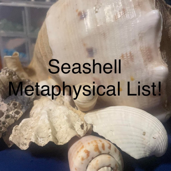 Seashell Metaphysical Propeties PDF List