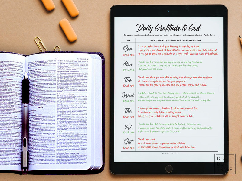 Printable Daily Gratitude to God the Classic Happy Planner-sized 7x9.25 ...