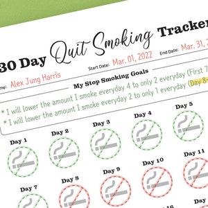 Printable 30 Day Quit Smoking Tracker 30 Day Stop Smoking Tracker No Smoking Tracker GoodNotes Quit Smoking Tracker Insert JPG Download