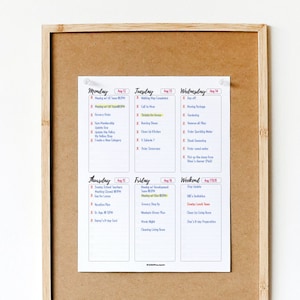 May include: A weekly planner on a cork board with a white background. The planner is divided into seven sections: Monday, Tuesday, Wednesday, Thursday, Friday, Weekend, and Today. Each section has a list of tasks with checkboxes next to them. The planner is dated August 13-19.