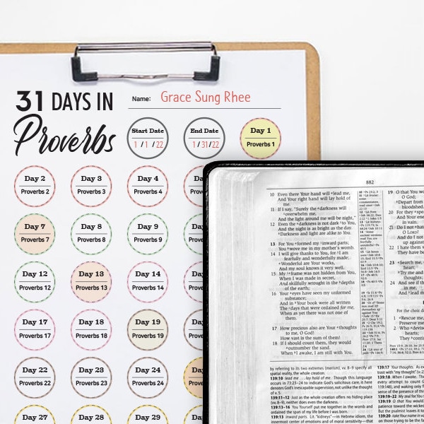 31 Days in Proverbs Bible Reading Log Writing Proverbs Tracker 31 Day Proverbs Challenge Planner GoodNotes Insert High-Resolution JPG