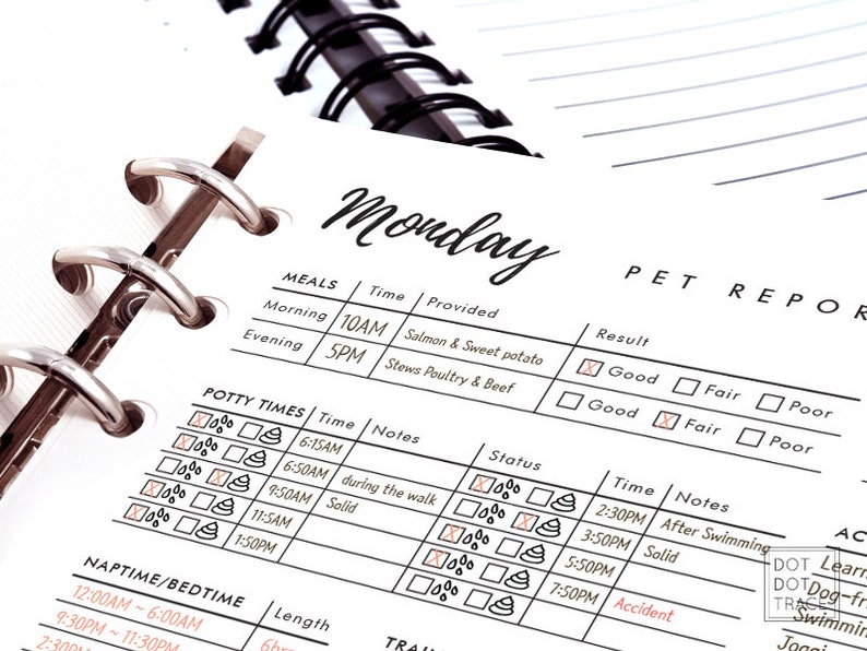 Printable 7 Day Pet Report Card Pet Daily Log Daily Dog Report Etsy