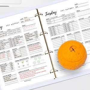 Carnet de notes imprimable sur 7 jours pour animaux de compagnie Carnet de notes quotidien pour animaux de compagnie Carnet de notes quotidien pour chien Modèles de bulletins numériques pour animaux de compagnie Bulletin PDF de chiot pour garde d'enfants