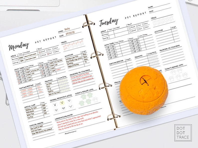 Printable 7 Day Pet Report Card Pet Daily Log Daily Dog Report Etsy