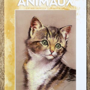 Coleção Leonardo Volume 13 / Animais, livro de técnica de pintura, aprendizagem de guache, aulas de pintura, técnica de carvão