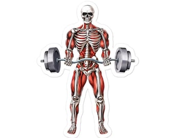 Skeleton Fitness Sticker, Gym Workout Decal, Bodybuilding Sticker, Bodybuilder Sticker, Weightlifting Sticker, Exercising Lover Gift