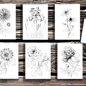 Set of 6, garden flower, botany print, Ukraine gift, floral heart card, Botanical Art, Hygge print, line drawing, black white decor