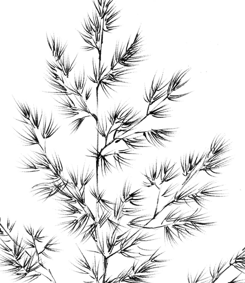 Set 4, spikelet sketch, Botanical Art Print, Hygge, digital stamp, clipart, one line drawing, grass artwork, wild herb, black white, plant image 8