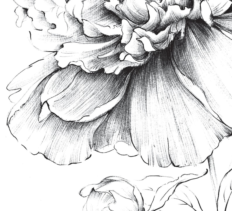 Set of 8 8x8 inch print garden flowers Peony Botanical | Etsy