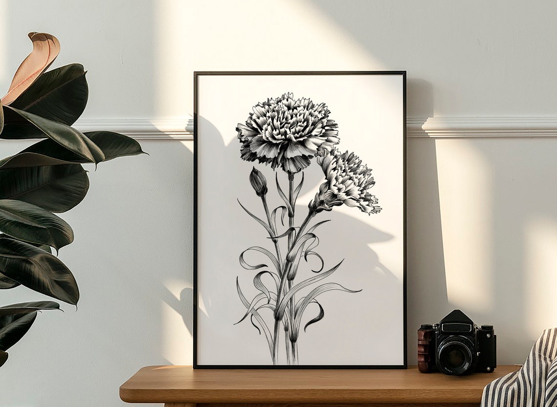 Carnation Sketch Botanical Print January Birth Flower JPEG - Etsy