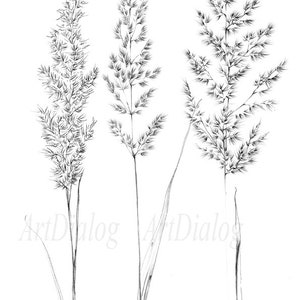 Set 4, spikelet sketch, Botanical Art Print, Hygge, digital stamp, clipart, one line drawing, grass artwork, wild herb, black white, plant image 3