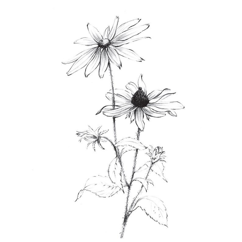Set of 8 8x8 print garden flowers black and white flower | Etsy