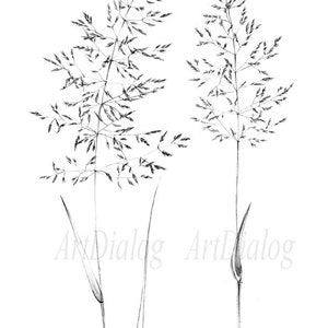 Set 4, spikelet sketch, Botanical Art Print, Hygge, digital stamp, clipart, one line drawing, grass artwork, wild herb, black white, plant image 6
