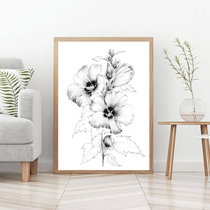 Hibiscus Sketch, Line Drawing, Coloring Page, Clipart, Large Botanical ...