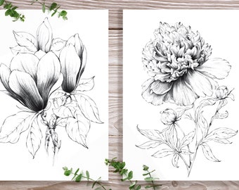 Set 2, peony, magnolia, wall decor, coloring page, Botanical Art, Louisiana flower, line drawing, black white, flower print, digital stamp