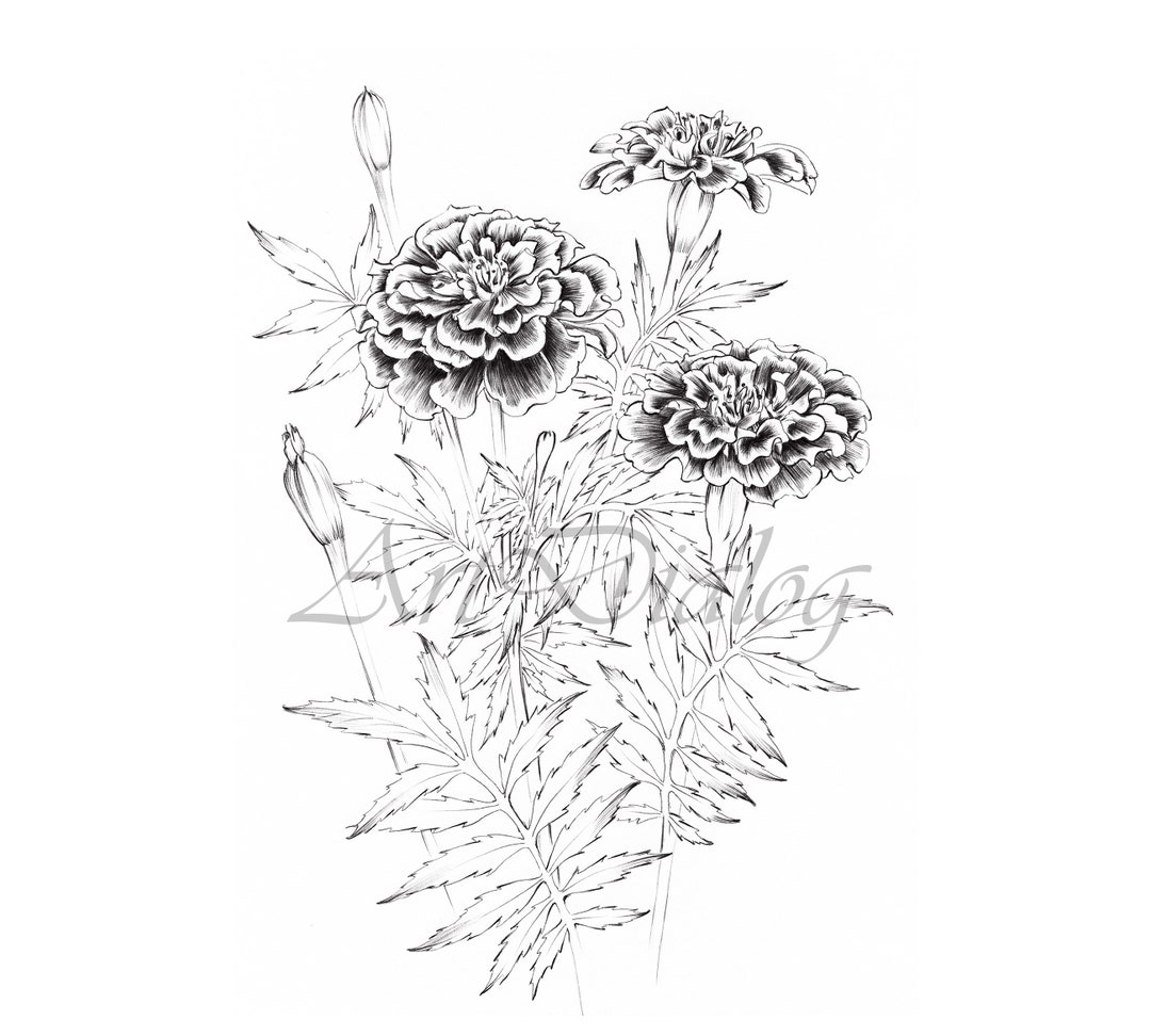 油絵 絵画 マリーゴールド畑【四切】 efad4bb0b824c0e4795036912ae123