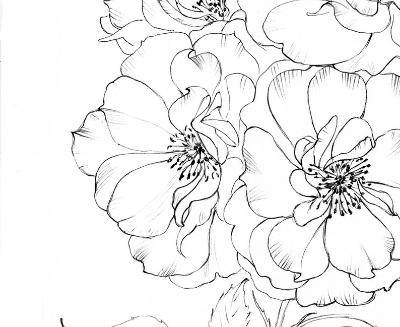 Set of 4 Roses Prints June birth flower coloring page | Etsy