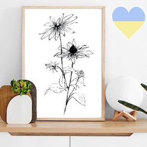 Black-eyed Susan, Sketch, rudbeckia, clipart, Maryland flower, art downloads, line drawing, Botanical Art Prints, black white, wall decor