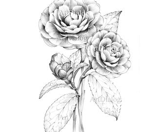2025人気特価 il_340x270.6278049248_9smn.jpg 絵画