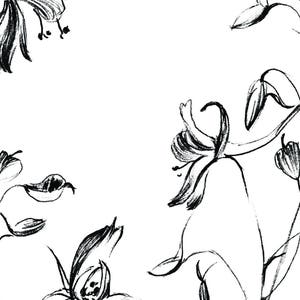 Larkspur Sketch wild flower Botany print hand drawn | Etsy