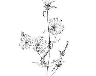 Wild flower art | Etsy