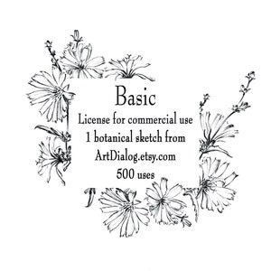Basic License for commercial use, for a Single Botanical SKETCH, Line Drawing Clipart, Greeting Card, Digital Paper, JPEG, scrapbook