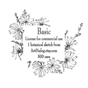 Könnte beinhalten: Schwarz-weiß-Zeichnung einer botanischen Skizze einer Blume. Das Bild enthält den Text "Basic License for commercial use 1 botanical sketch from ArtDialog.etsy.com 500 uses".