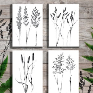 Set 4, spikelet sketch, Botanical Art Print, Hygge, digital stamp, clipart, one line drawing, grass artwork, wild herb, black white, plant image 1