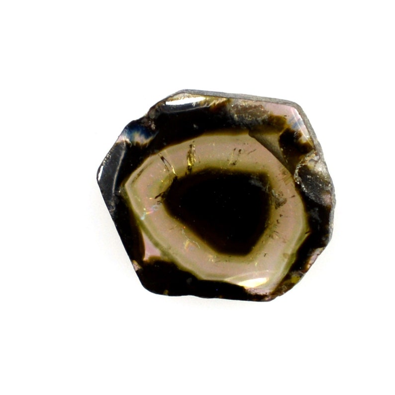 Olive Green Tourmaline 100/% Natural Bi-color Tourmaline Slice 7.5x6.5x2 mm Beautiful Loose Gemstone 10387 1.00 cts