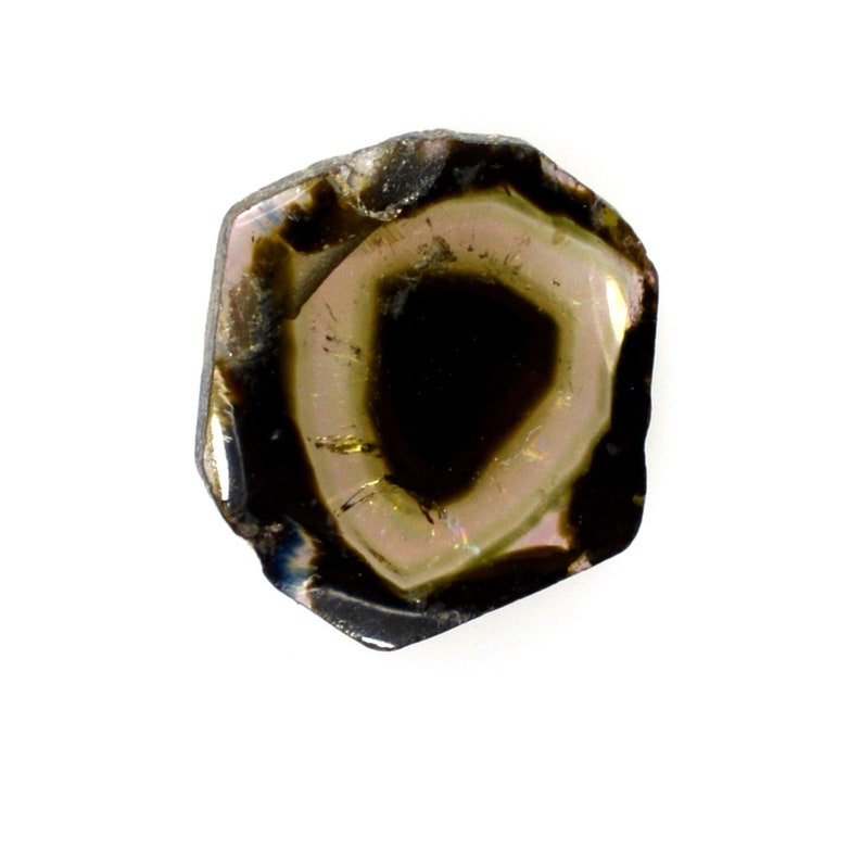 Olive Green Tourmaline 100/% Natural Bi-color Tourmaline Slice 7.5x6.5x2 mm Beautiful Loose Gemstone 10387 1.00 cts