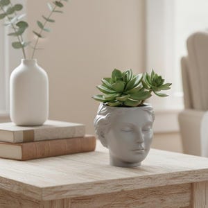 Puede incluir: Una maceta gris en forma de cabeza de cerámica con una planta suculenta verde. Un jarrón blanco con vegetación y dos libros están sobre una mesa de madera clara. La maceta tiene un diseño de escultura clásica.