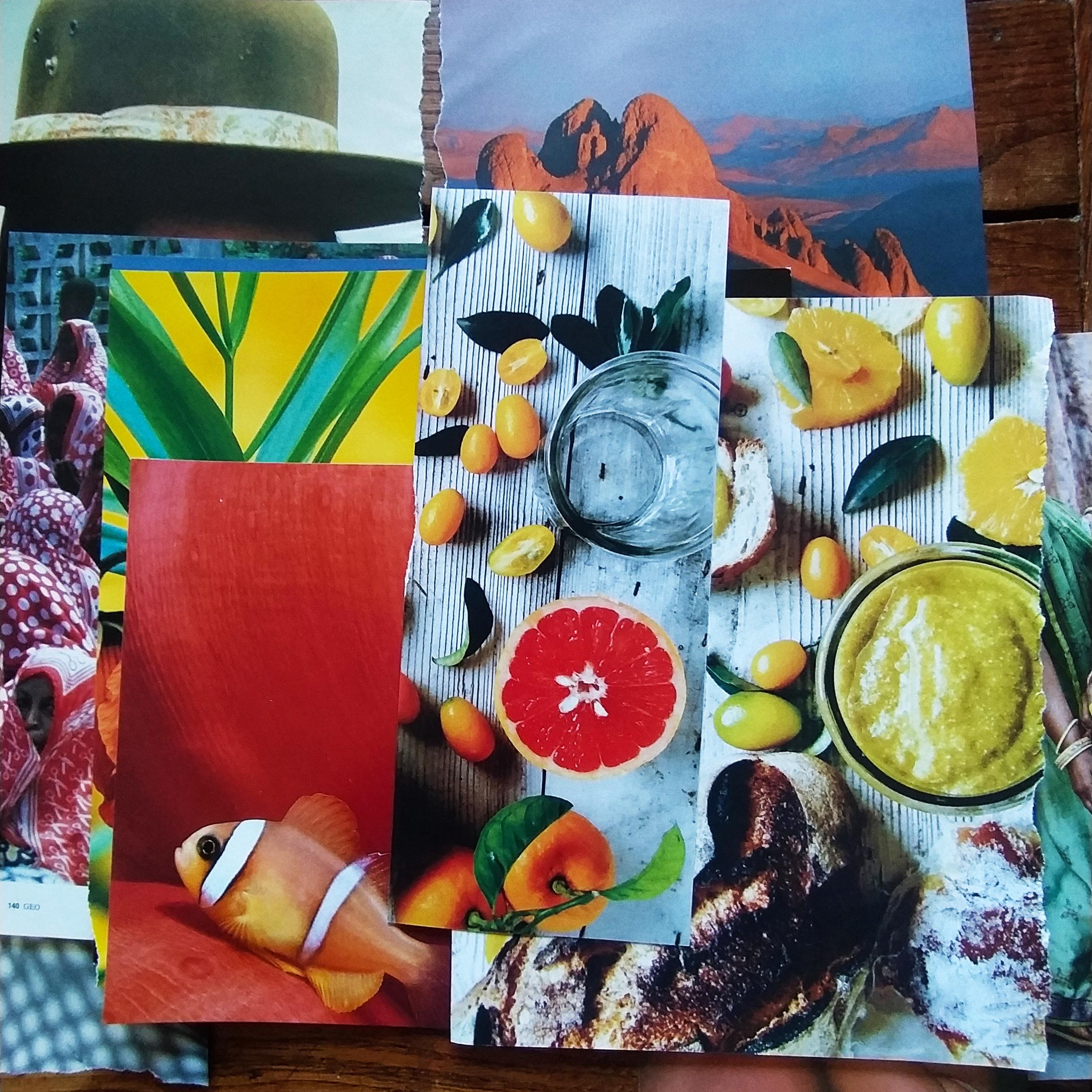 Collage Generosity Cut-outs Collage Kit - 50+ Modern & Vintage Paper Ephemera for Collages ...