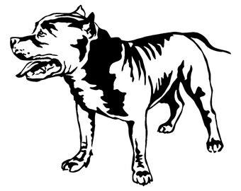 Download American Pit Bull 4 Pitbull Bully Staffordshire Terrier ...