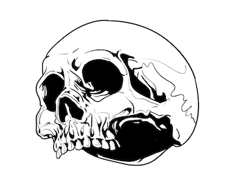 Pirat Czaszki Wektor Ręcznie Rysunek Wektor Premium