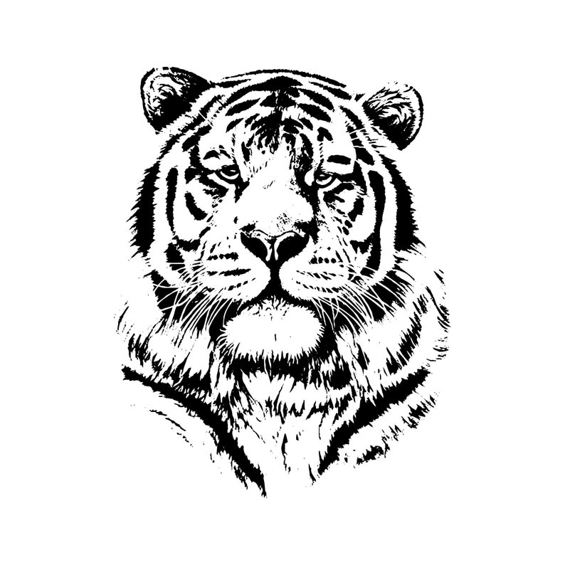 Tiger 15 Jaguar Leopard Big Cat Predator Logo.svg .eps .png - Etsy