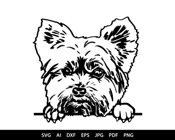 Download Yorkshire Terrier 13 Puppy Peeking Yorkie Dog Breed K 9 Etsy