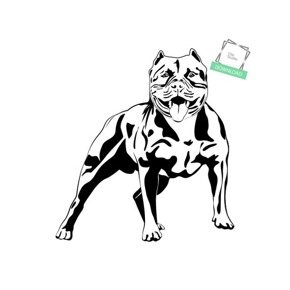 American Pit Bull 14 Pitbull Bully Staffordshire Terrier Pit - Etsy