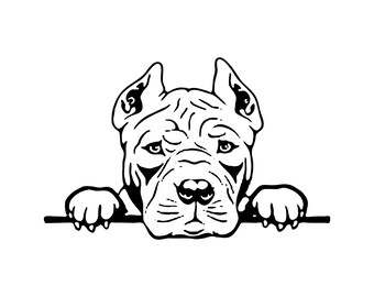 American Bully Svg Etsy