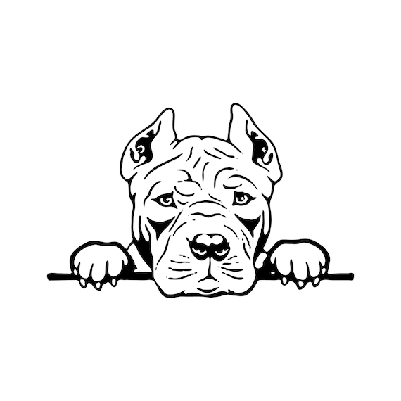 Featured image of post How To Draw American Bully Look at links below to get more options for getting and using clip art